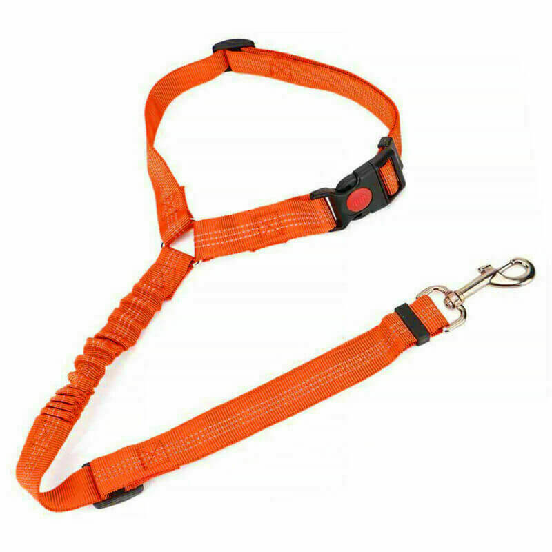 1 Australia Dog Seatbelt Dog Car Seat belt Dog Seat Belt Harness By